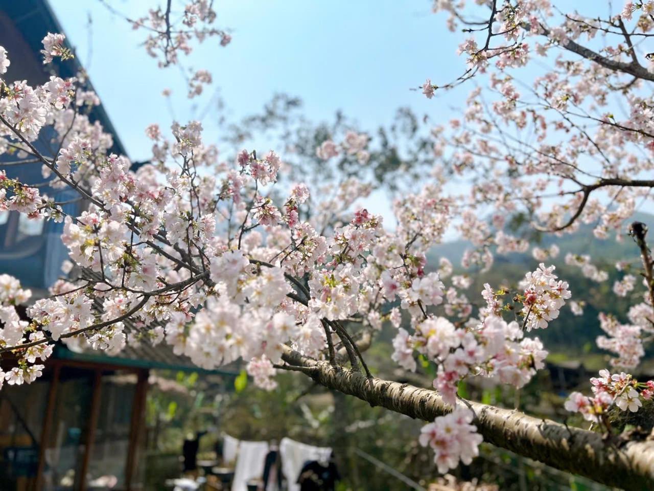 Sapa Eco Hugo住宿加早餐旅馆 外观 照片